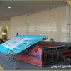 اجرای استیج - تصویر 8