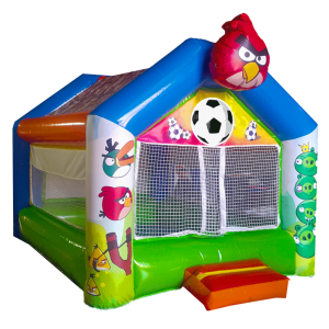 استخر توپ انگری برد | 🏷️ اجاره روزانه