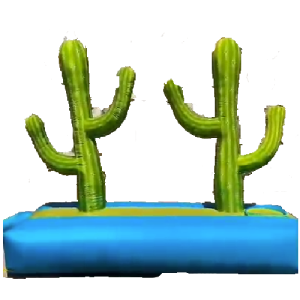 پرتاب حلقه بادی کاکتوس | 🏷️ اجاره روزانه